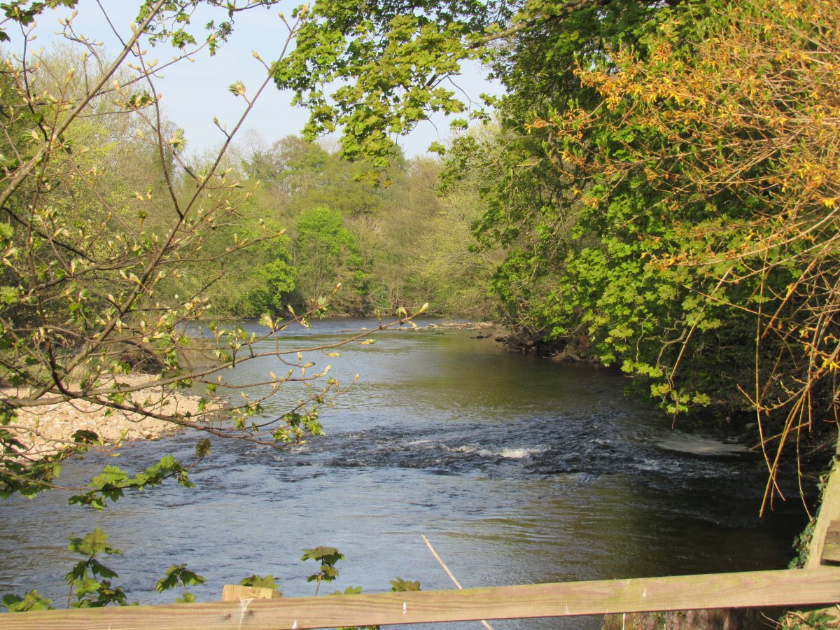 The river Ure runs through Masham